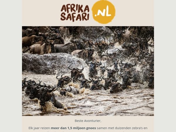 Jouw plek op de eerste rij bij de Grote Trek in Kenia