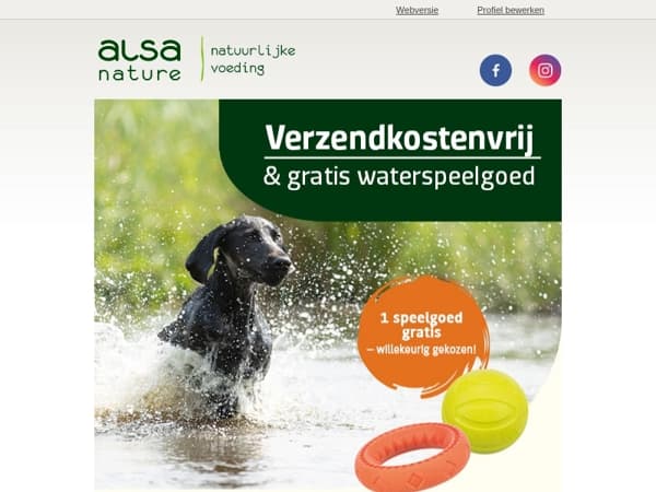 Nu GRATIS verzending & GRATIS hondenspeelgoed!* 🐾