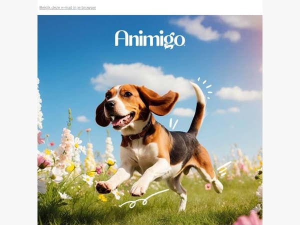 Waarom lentewandelingen juist zwaar kunnen zijn voor oudere honden