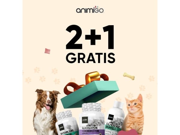 Alleen vandaag: 2+1 gratis 🐶