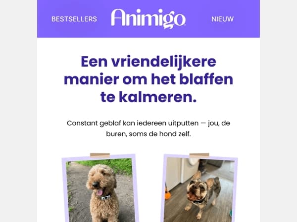 Put het blaffen iedereen uit?