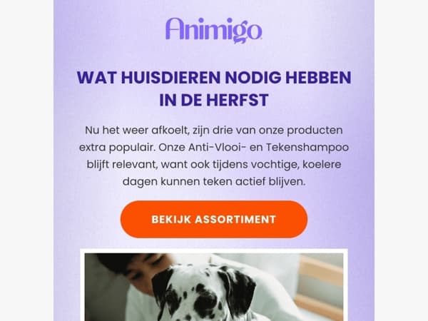 De favorieten tijdens de seizoenswissel