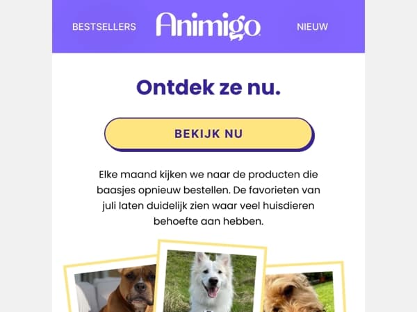Ontdek onze bestsellers van juli