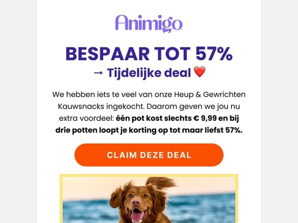 We hebben te veel ingeslagen, kun je helpen?