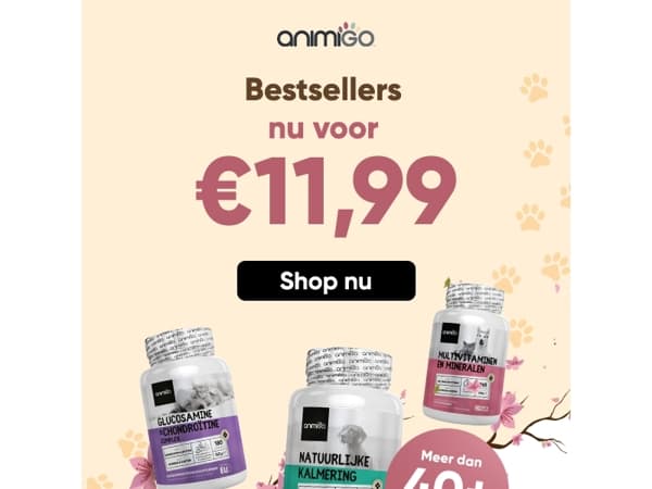 Deze toppers shop je nu voor €11,99 😎