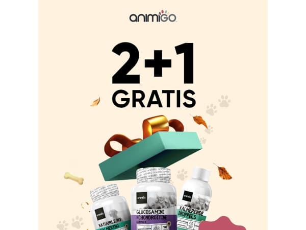 Extra energie voor je maatje in de herfst 🍂