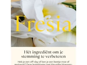 Ster-ingrediënt Fresia ⭐