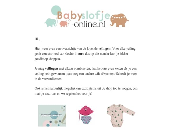 🔨 Veilingen & Outlet – Mis het niet! 