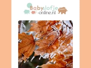 Brrrr, kleed je kindje warm aan!