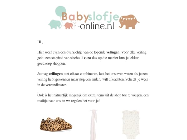 🔨 Veilingen & Outlet – Mis het niet! 