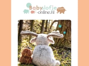 De leukste items voor jouw baby