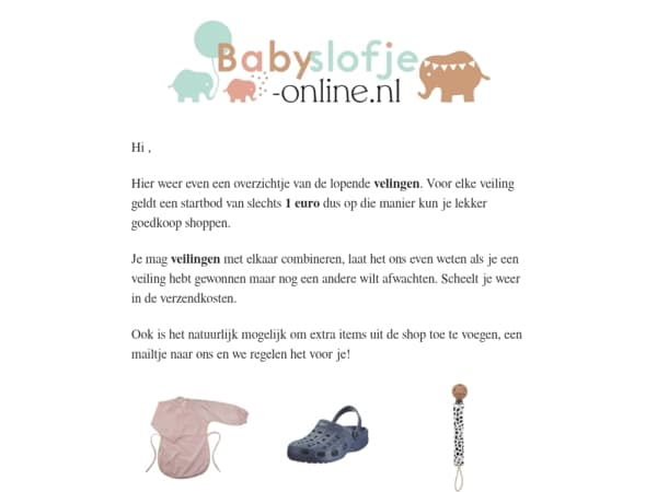 🔨 Veilingen & Outlet – Mis het niet! 