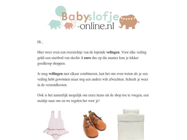 🔨 Veilingen & Outlet – Mis het niet! 