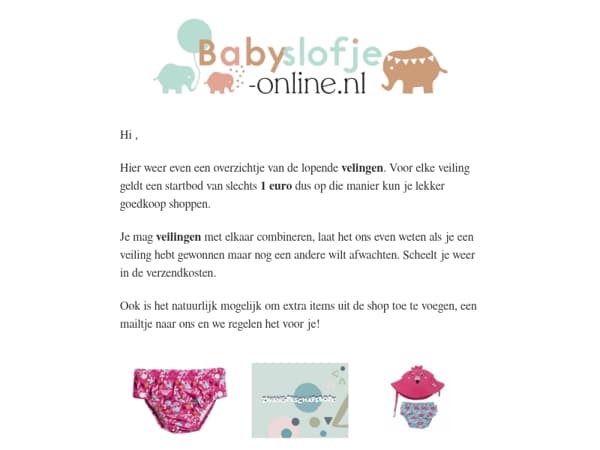 🔨 Veilingen & Outlet – Mis het niet! 