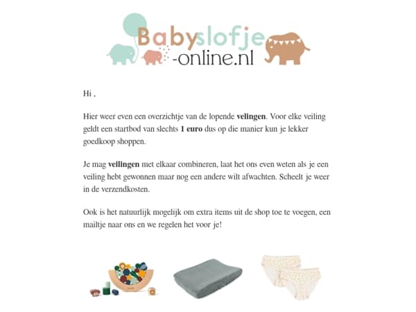 🔨 Veilingen & Outlet – Mis het niet! 