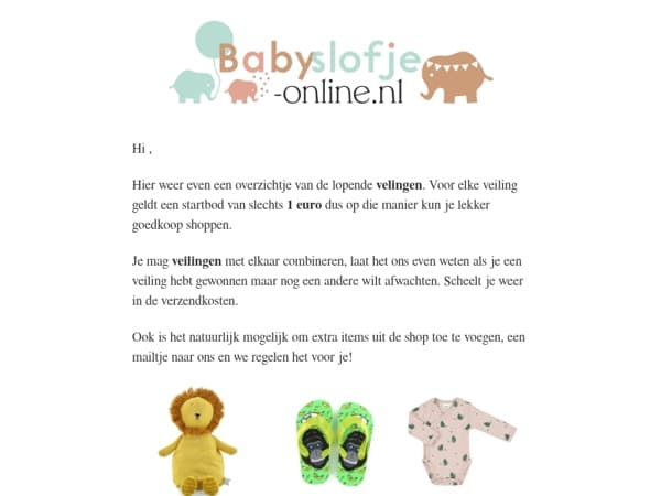 🔨 Veilingen & Outlet – Mis het niet! 
