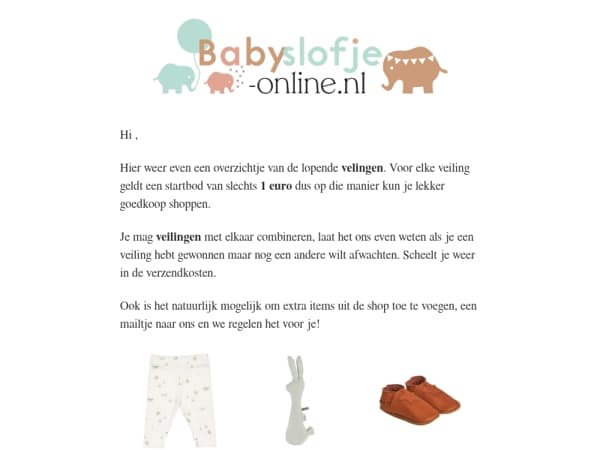 🔨 Veilingen & Outlet – Mis het niet! 