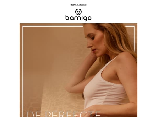 Het begint bij de basis