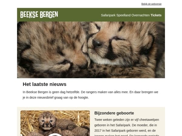 Bijzondere geboorte: maar liefst vijf welpen