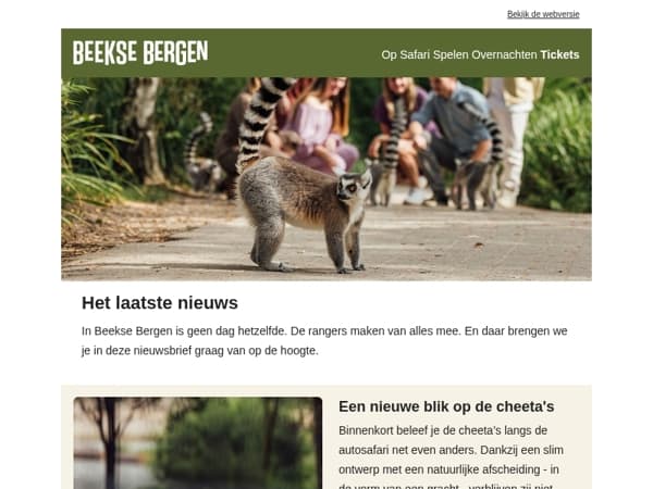 Een nieuwe blik op de cheeta's