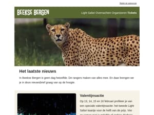 Light Safari valentijnsactie ❤️