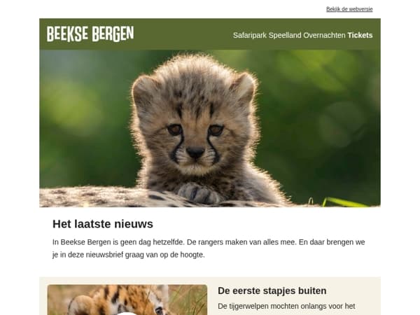 Beelden om bij weg te smelten 🐯