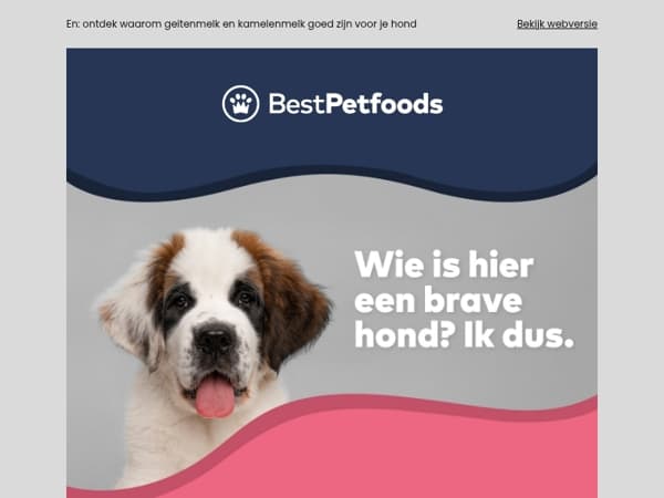 Nieuw van Pawfect, BUDDY natvoer €29,95 & Amigüitos €1,75!