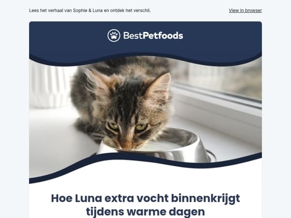 Drinkt jouw kat te weinig? Dit helpt verrassend goed ☀️