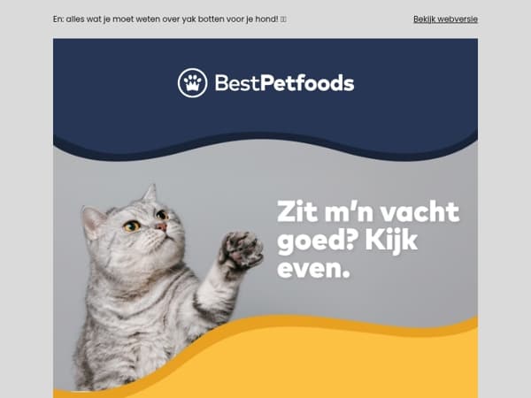 Pawfect 1+1 gratis & romige nieuwkomer voor je kat 😻