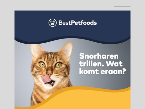 Pak tot 15% korting op snacks & voeding – tijdelijk!