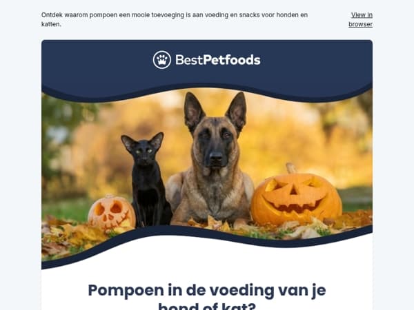 🎃 Waarom zit er pompoen in de voerbak?