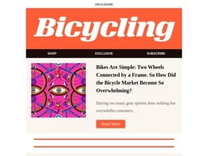 Bikes Are Simple: Two Wheels Connected by a Frame. So How Did the Bicycle Market Become So Overwhelming?