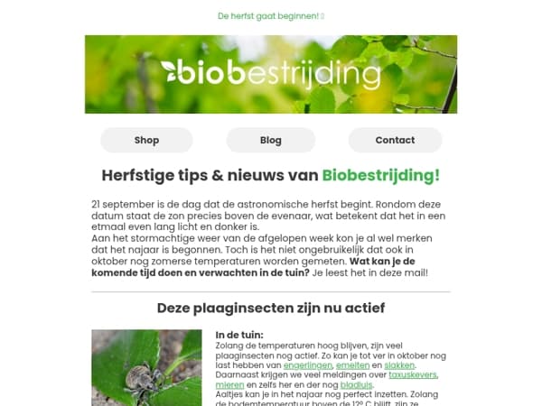 Hoi , ontdek ons nazomermagazine! 🐞