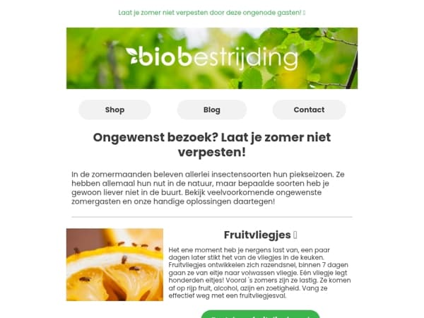 🌻 Typische zomerplagen & wat je ertegen kan doen!