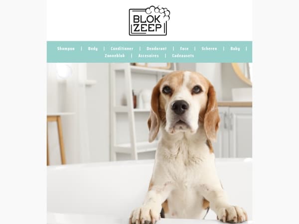 De allerbeste plasticvrije verzorging voor je hond 🌿