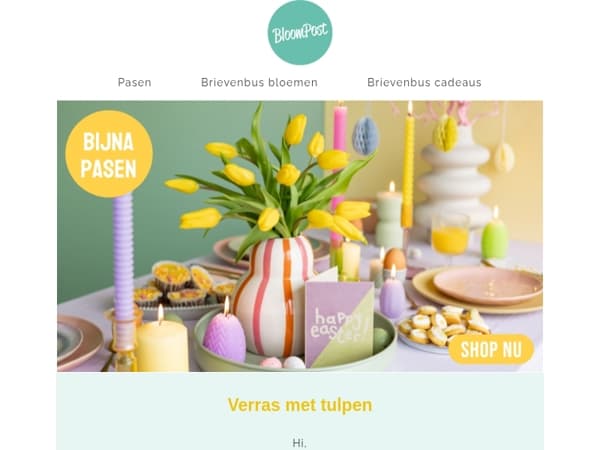 🌷Laatste kans: verras met tulpen 