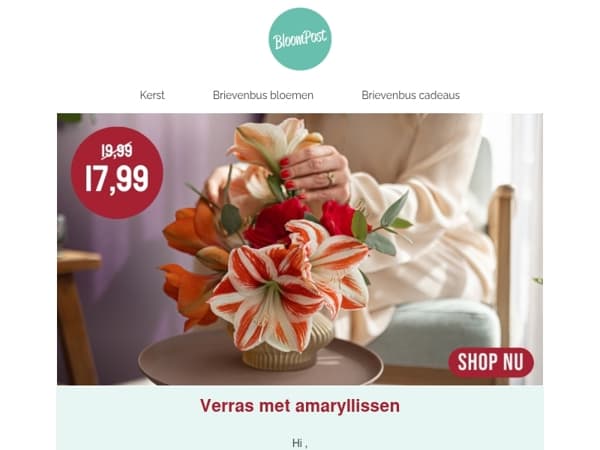 Amaryllissen met korting