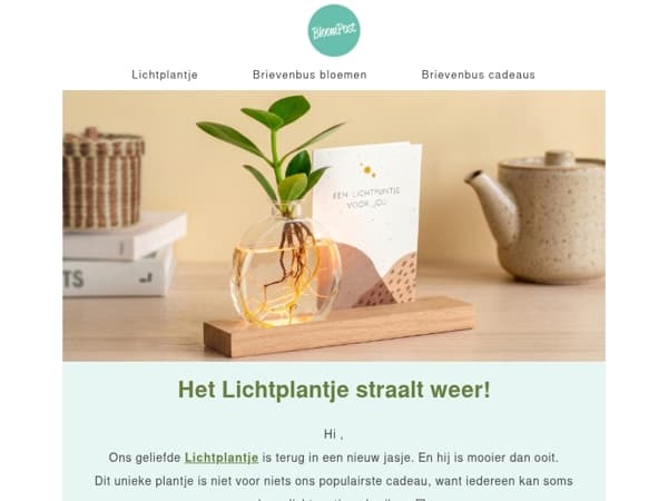 Het Lichtplantje is er weer! ✨