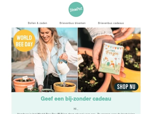 Zo maak jij het verschil voor bijen 🐝