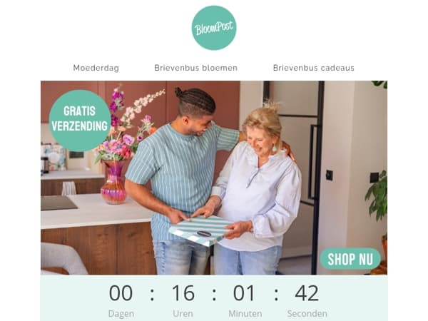 GRATIS VERZENDING 💗