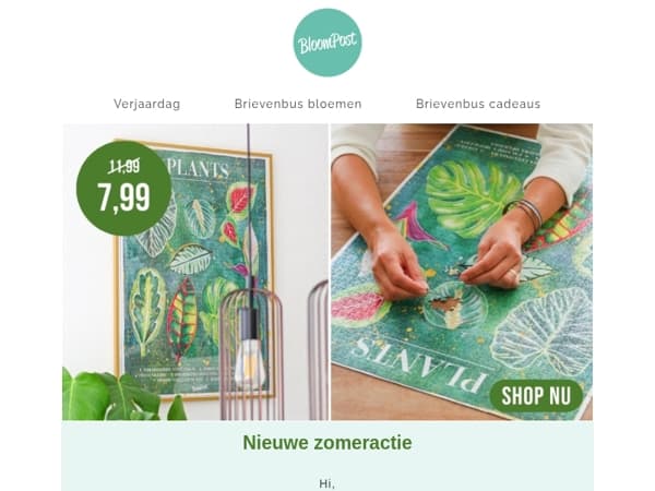 Buiten te warm? Geef een plantenpuzzel cadeau