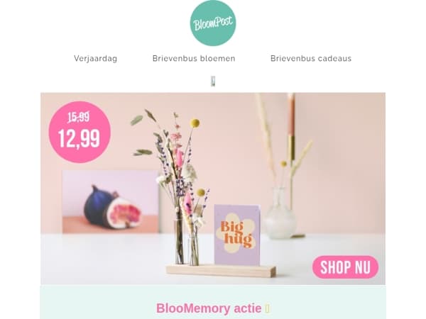 🌸 BlooMemory nu afgeprijsd naar 12,99! 