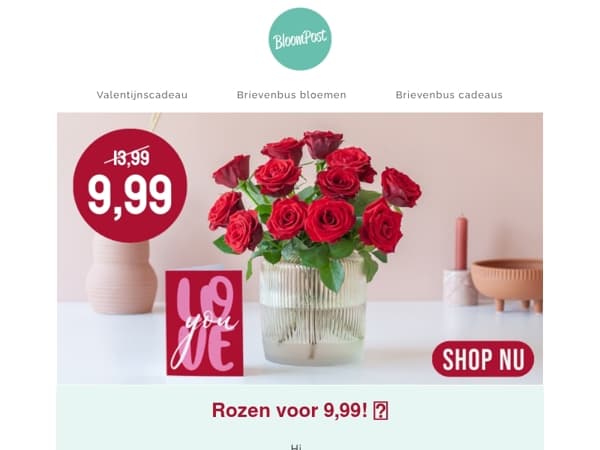 Rozen van 13,99 voor 9,99! 🌹