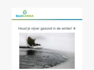 Houd je vijver gezond in de winter! ❄️