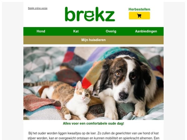 Extra ondersteuning voor de senior viervoeter