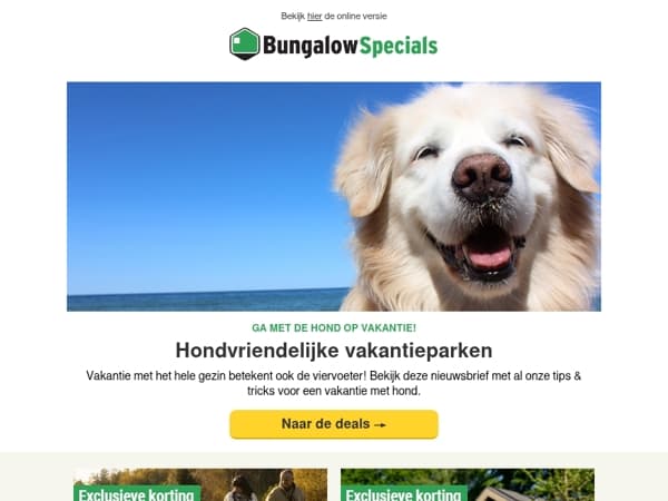 Onze tips voor jouw vakantie met hond