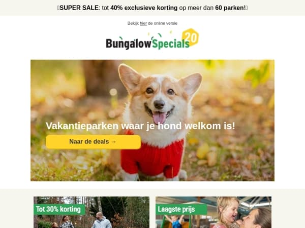 Woef & Weg – Jouw Dierendag Inspiratie 🐶