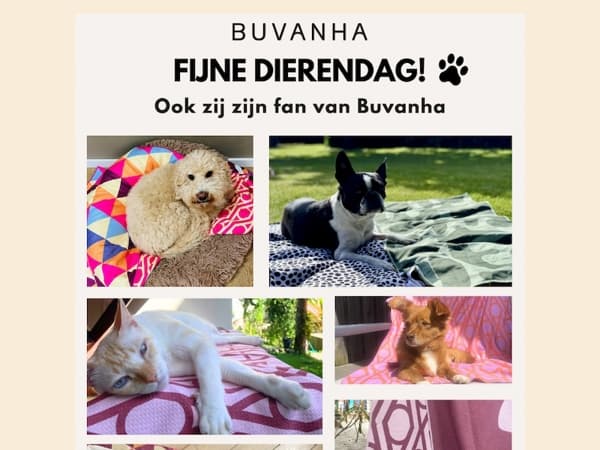Liefde voor de viervoeters vandaag 🐾