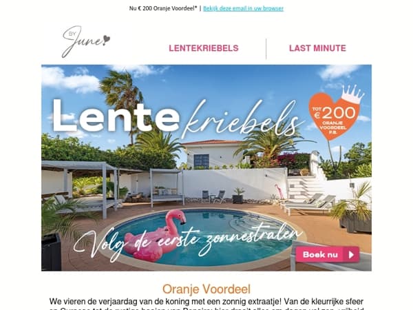 Vier Koningsdag met een zonnig extraatje! 🧡