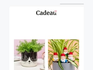 Bloempotten met humor 🌱